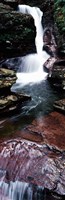 Close-up of a waterfall, Ricketts Glen State Park, Pennsylvania, USA by Panoramic Images - 12" x 37"