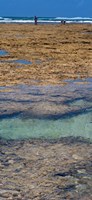 Indian Ocean, Fringe Reef, Mombasa Marine National Park and Reserve, Kenya Fine Art Print