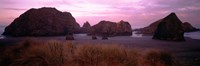 Rock formations on Myers Creek Beach, Oregon by Panoramic Images - 36" x 12"