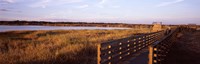 Boardwalk in a state park, Myakka River State Park, Sarasota, Sarasota County, Florida, USA Fine Art Print