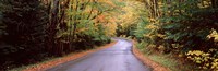 Road passing through a forest, Green Bridge Road, Adirondack Mountains, Thendara, Herkimer County, New York State, USA Fine Art Print