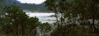 Volcanic lake in a forest, Kawah Putih, West Java, Indonesia by Panoramic Images - 33" x 12"