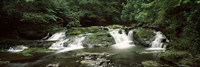 Dingmans Creek flowing through a forest, Dingmans Falls Area, Delaware Water Gap National Recreation Area, Pennsylvania, USA Fine Art Print