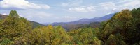 View from River Road, Great Smoky Mountains National Park, North Carolina, Tennessee, USA Fine Art Print