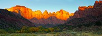 Towers of the Virgin and the West Temple in Zion National Park, Springdale, Utah, USA by Panoramic Images - 33" x 12"