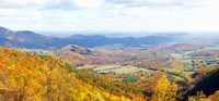 Trees on a hill, North Carolina, USA Fine Art Print