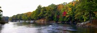 Trees at the Riverside, Musquash River, Muskoka, Ontario, Canada Fine Art Print