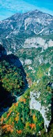 Verdon Gorge in autumn, Provence-Alpes-Cote d'Azur, France by Panoramic Images - 12" x 31"
