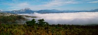 Morning fog on Verdon Gorge, Provence-Alpes-Cote d'Azur, France by Panoramic Images - 34" x 12"