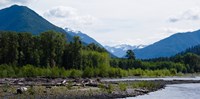 Trees in front of mountains in Quinault Rainforest, Olympic National Park, Washington State, USA Fine Art Print