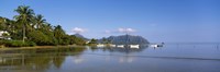 Palm trees at a coast, Kaneohe Bay, Oahu, Hawaii, USA Fine Art Print