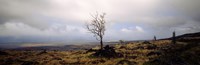 Clouds over volcanic landscape, Hawaii Fine Art Print