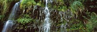 Waterfall in a forest, Hawaii, USA Fine Art Print