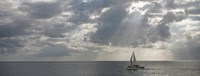 Sailboat in the sea, Negril, Jamaica by Panoramic Images - 32" x 12"