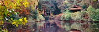 Japanese Garden in autumn, Tatton Park, Cheshire, England Fine Art Print