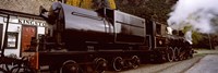 Kingston Flyer vintage steam train, Kingston, Otago Region, South Island, New Zealand Fine Art Print