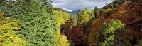 Canyon at Killiecrankie, River Garry, Pitlochry, Perth And Kinross, Scotland Fine Art Print