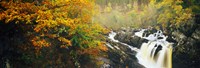 Waterfall in autumn, Rogie Falls, Black Water, Garve, Ross-Shire, Scotland Fine Art Print