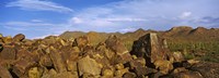 Signal Hill with Petroglyphs, Saguaro National Park, Tucson, Arizona, USA Fine Art Print