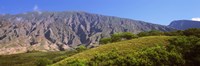 Trees on a hill near Haleakala Crater, Maui, Hawaii, USA Fine Art Print