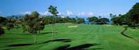 Trees , Kaanapali Golf Course, Maui, Hawaii, USA Fine Art Print