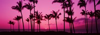 Silhouette of palm trees at dusk, Hawaii, USA Fine Art Print