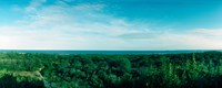 High angle view of trees with Atlantic Ocean at Fort Tilden beach, Queens, New York City, New York State, USA Fine Art Print