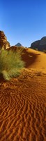 Sand dunes in a desert, Jordan (vertical) Fine Art Print