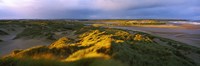 Sand dunes on the beach, Newburgh, River Ythan, Aberdeenshire, Scotland Fine Art Print