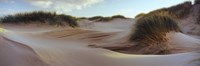 Sculpted dunes at the Sands of Forvie, Newburgh, Aberdeenshire, Scotland Fine Art Print