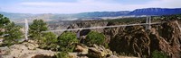 Suspension Bridge Across Royal Gorge Fine Art Print