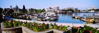 Boats at Inner Harbor with Parliament Building in the background, Victoria, British Columbia, Canada Fine Art Print