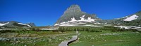 Hidden Lake Nature Trail at US Glacier National Park, Montana, USA Fine Art Print