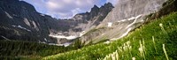 Beargrass with mountains in the background, Montana Fine Art Print