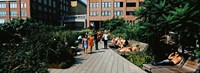 Tourists in an elevated park, High Line, New York City, New York State Fine Art Print