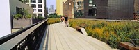 Walkway in a linear park, High Line, New York City, New York State, USA Fine Art Print