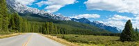 Road passing through a forest, Bow Valley Parkway, Banff National Park, Alberta, Canada Fine Art Print