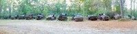 Old rusty cars and trucks in a field, Crawfordville, Wakulla County, Florida, USA by Panoramic Images - 48" x 12"