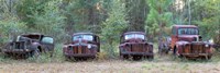 Old rusty cars and trucks on Route 319, Crawfordville, Wakulla County, Florida, USA Fine Art Print