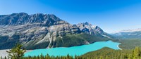 Peyto Lake at Banff National Park, Alberta, Canada Fine Art Print