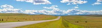 Road passing through a field, Alberta, Canada Fine Art Print