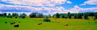 Hay bales in a landscape, Michigan, USA Fine Art Print