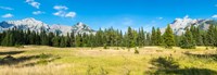 Trees with mountain range in the background, Banff National Park, Alberta, Canada Fine Art Print