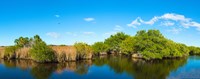 Reflection of trees in a lake, Big Cypress Swamp National Preserve, Florida, USA Fine Art Print
