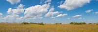 Clouds over Everglades National Park, Florida, USA Fine Art Print