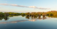 Anhinga Trail, Everglades National Park, Florida Fine Art Print