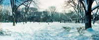 Snow covered park, Lower East Side, Manhattan, New York City, New York State, USA by Panoramic Images - 30" x 12"
