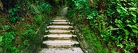 Steps leading to a lighthouse, Morro De Sao Paulo, Tinhare, Cairu, Bahia, Brazil Fine Art Print