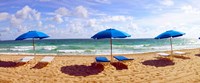 Lounge chairs and beach umbrellas on the beach, Fort Lauderdale Beach, Florida, USA by Panoramic Images - 29" x 12" - $34.99