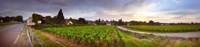 Vineyard, Mercurey, France Fine Art Print